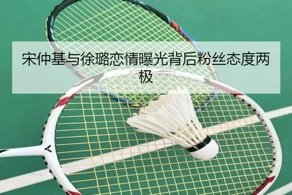 宋仲基与徐璐恋情曝光背后粉丝态度两极
